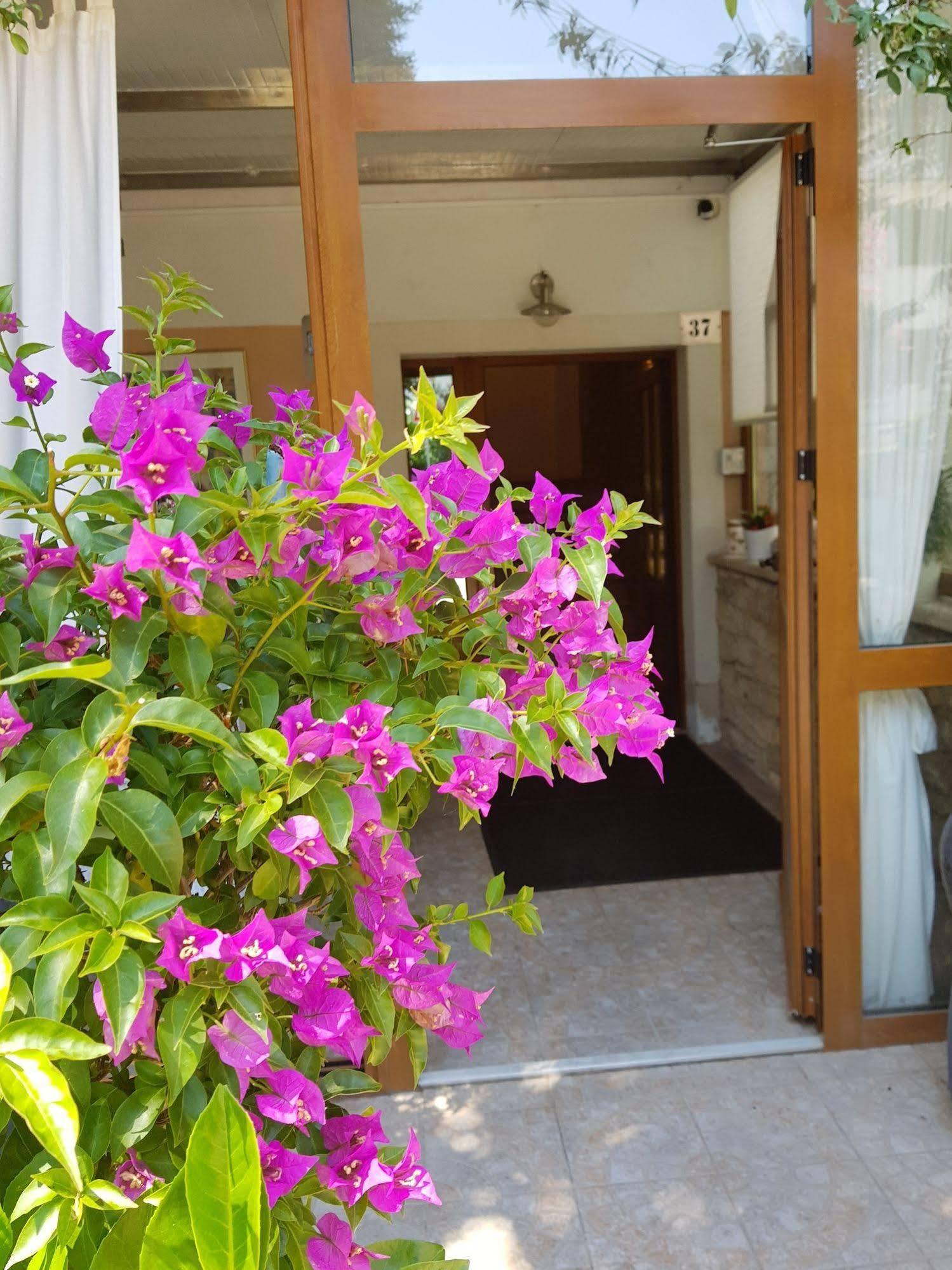 Novigrad Istria Boutique Hotel Santa Maria מראה חיצוני תמונה